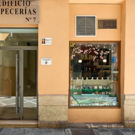 Santos 7 - Bright 2-bedroom Duplex With Two Terraces * Malaga